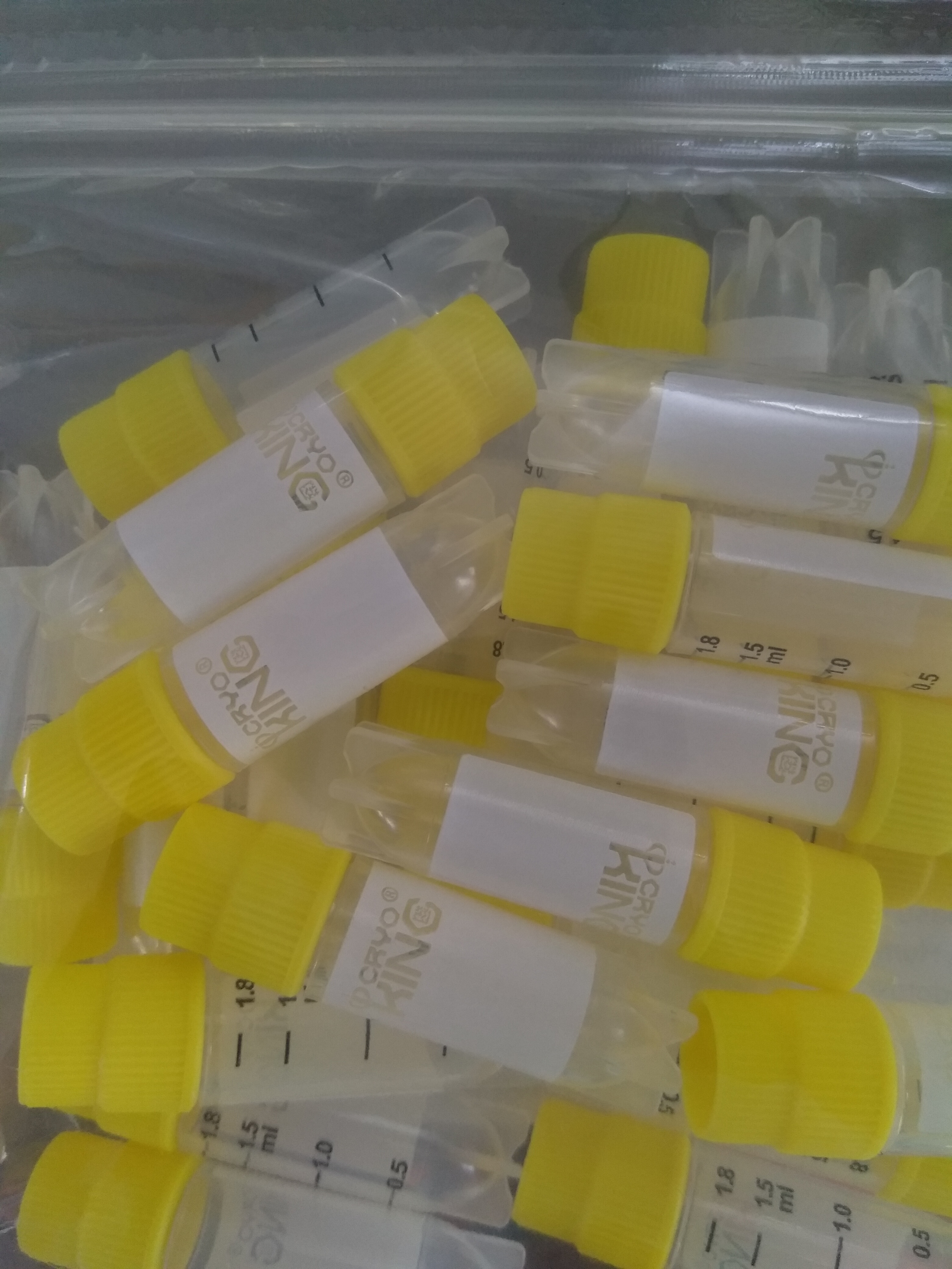cryo tube 2.0 ml gói 25 cái