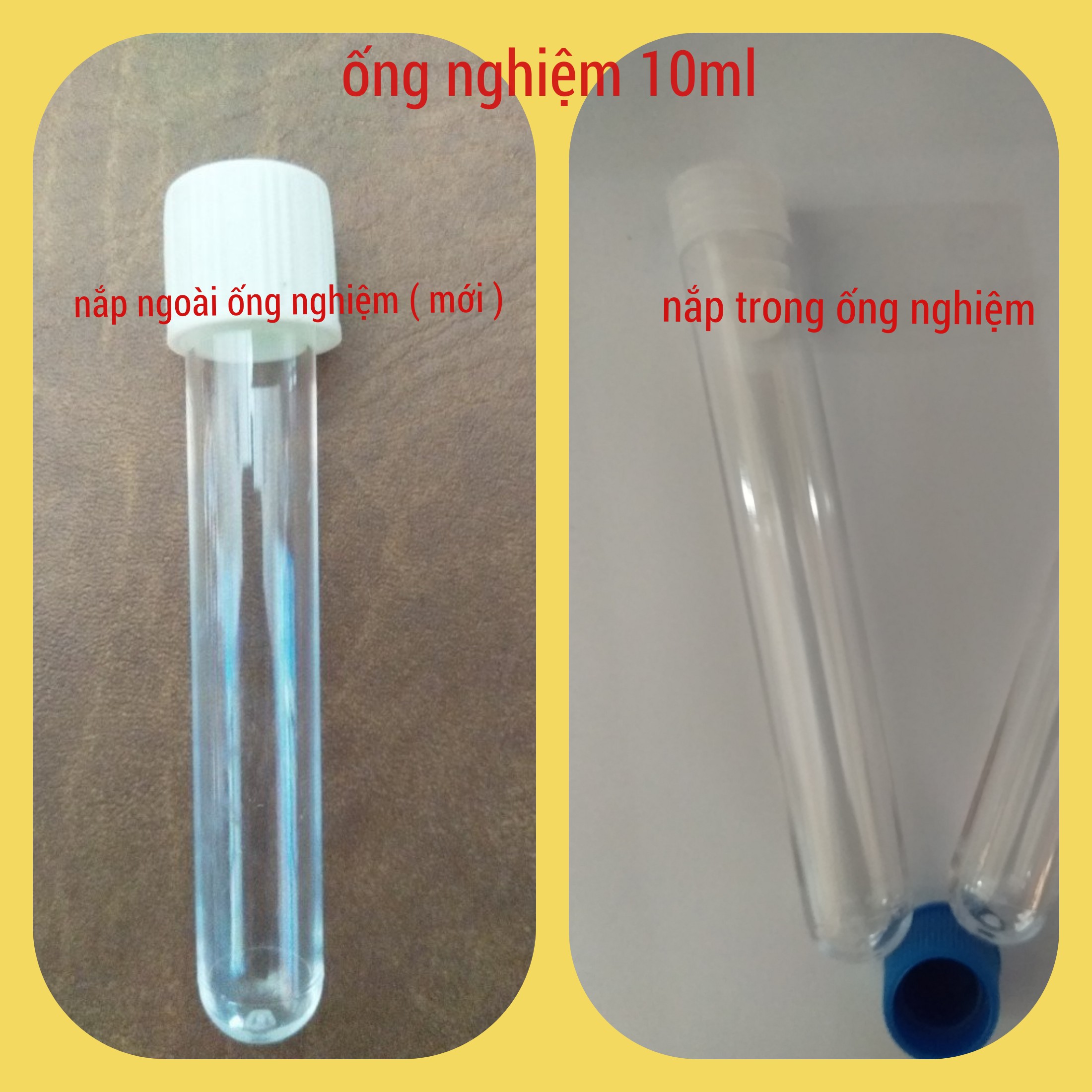 Ống nghiệm ps 10ml có nắp