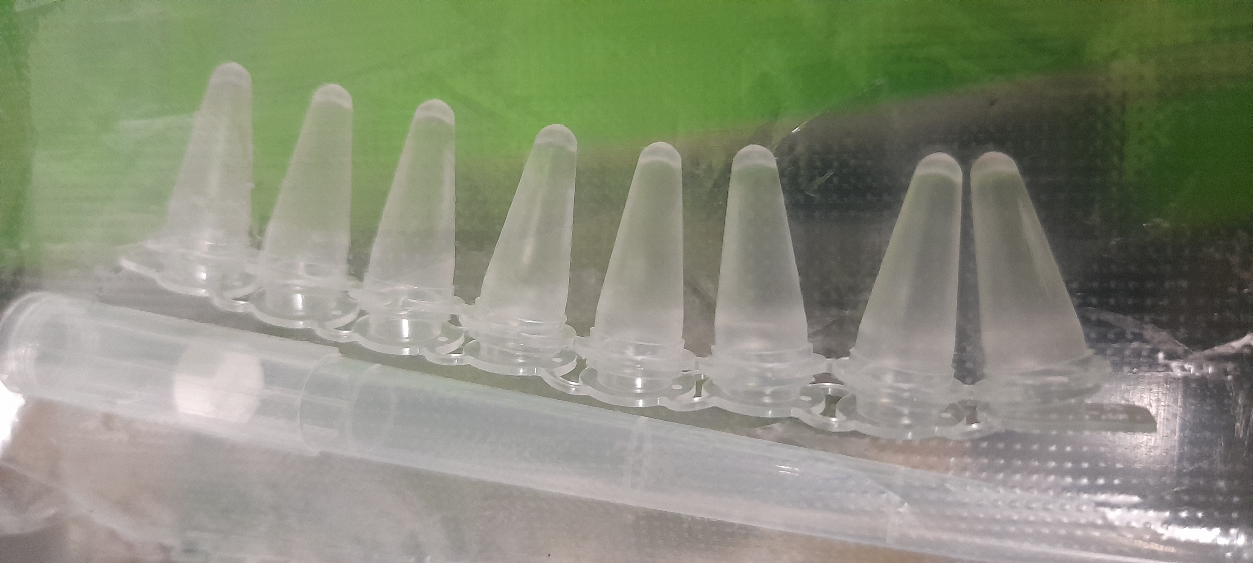 TUBE 0,2 ML
