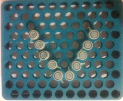 Vĩ đựng ống nghiệm - test tube rack