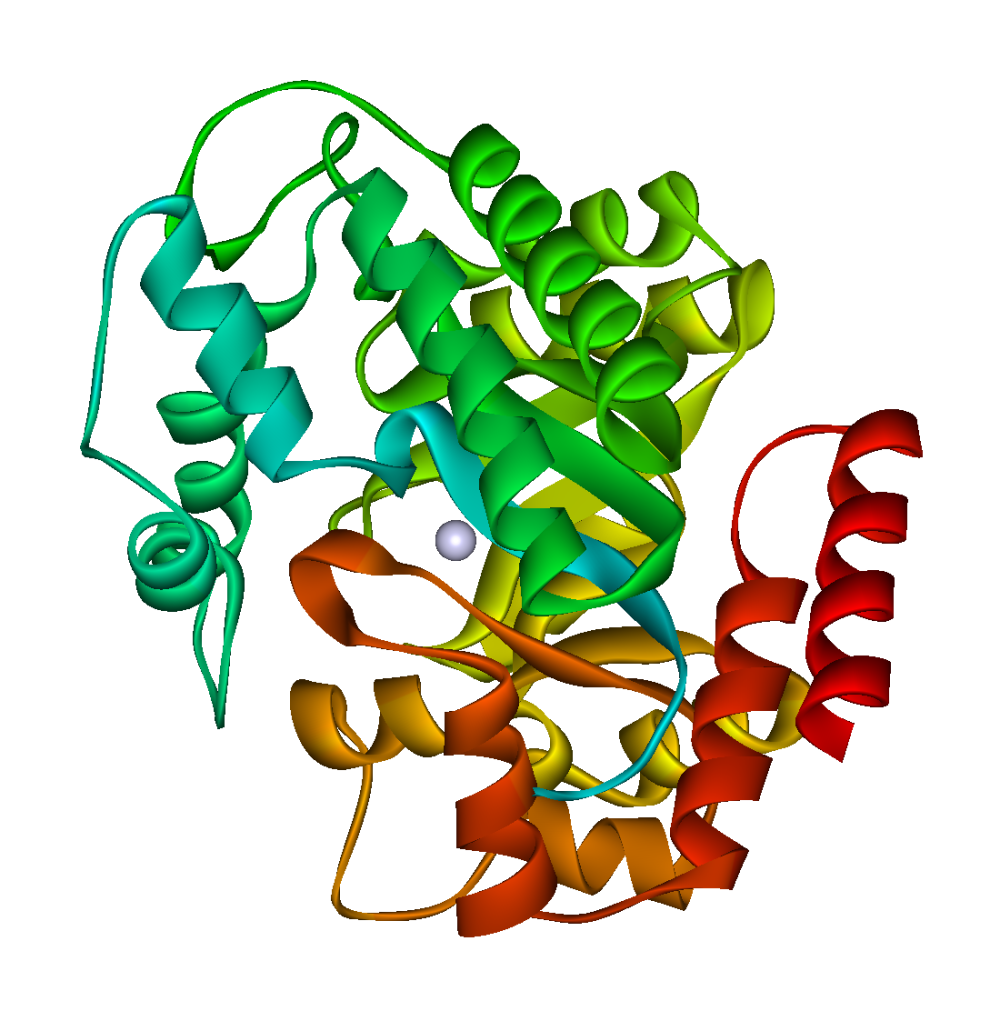 xét nghiệm Adenosine deaminase là gì ?