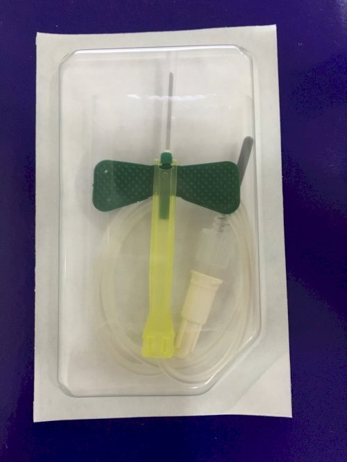kim bướm 21 G BD