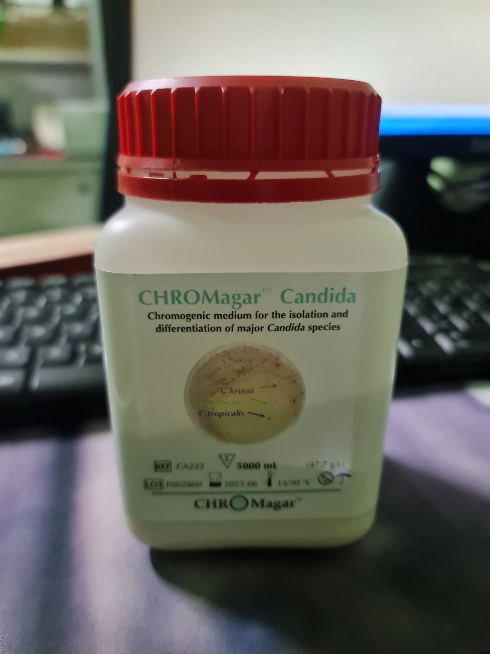 Agar Chrom Malassezia