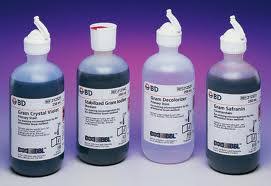 BỘ NHUỘM GRAM VN 100 ML